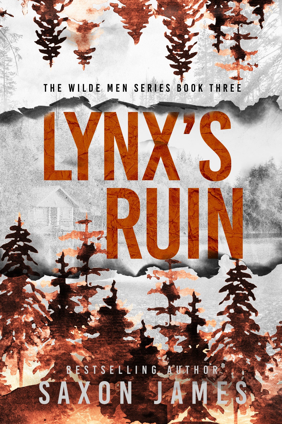Lynx's Ruin (The Wilde Men Book 3) | PRE-ORDER WITH SWAG (released Oct 29, 2026)