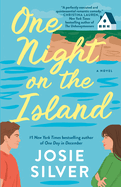 One Night on the Island: A Novel