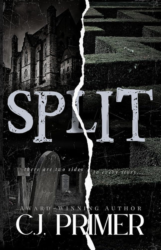 SPLIT: a dark psychological thriller cover image