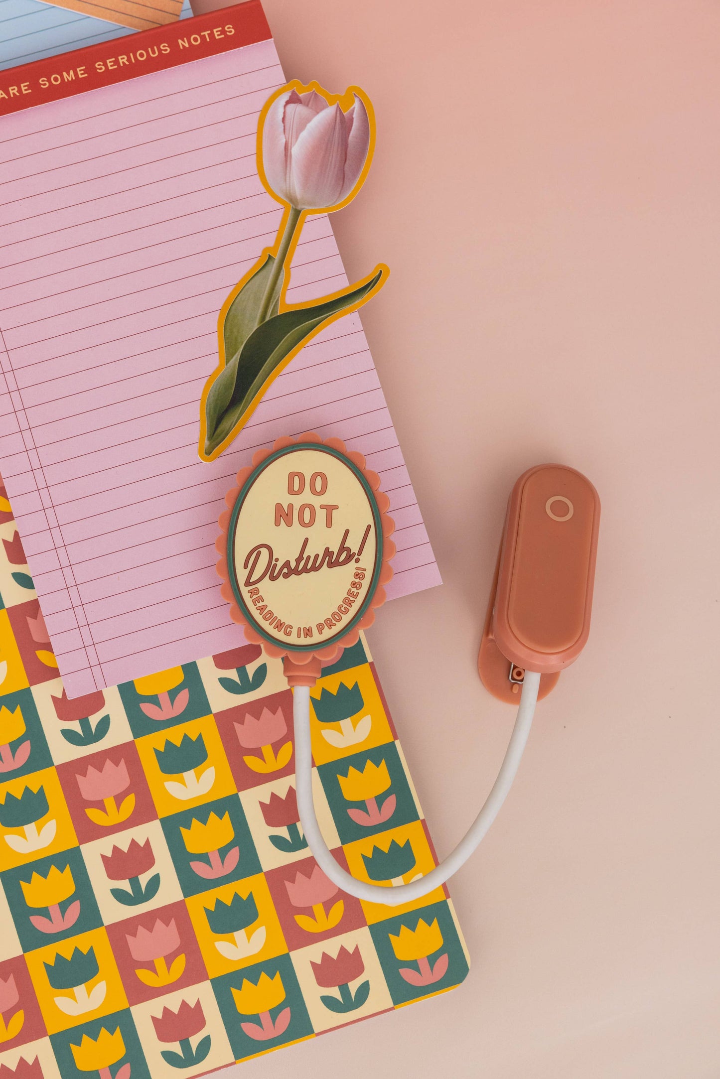 "Do Not Disturb" Book Light
